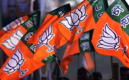 बीजेपी और मुसलमान, वोट प्रतिशत के आंकड़े देखकर चौंक जाएंगे आप !