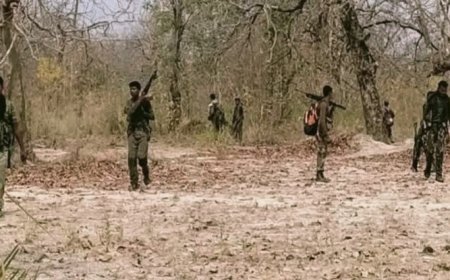 छत्तीसगढ़ में अब तक का सबसे बड़ा एनकाउंटर, बस्तर में 29 नक्सली ढेर