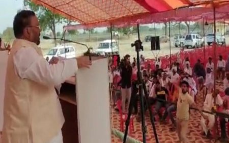 स्वामी प्रसाद मौर्य पर मंच से भाषण के दौरान युवक ने जूते से किया हमला, पुलिस ने दौड़ाकर दबोचा