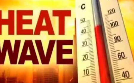 मिर्जापुर में भीषण गर्मी से चुनाव ड्यूटी पर आए 7 होमगार्ड्स समेत 14 की मौत, 16 ट्रॉमा सेंटर में भर्ती
