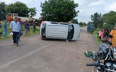 लावारिस मवेशी के कारण टीपर ने लगाया ब्रेक, पीछे चल रही कार पलटी