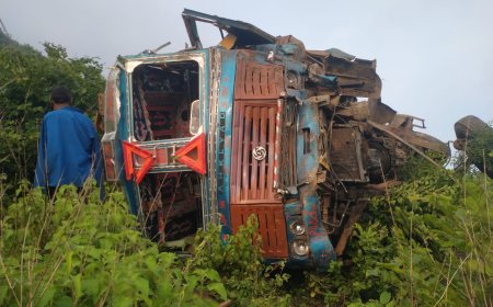 मिर्जापुर: मध्यप्रदेश से बिहार जा रहा बल्कर ट्रक ड्रमंडगंज घाटी में पलटा, चालक घायल