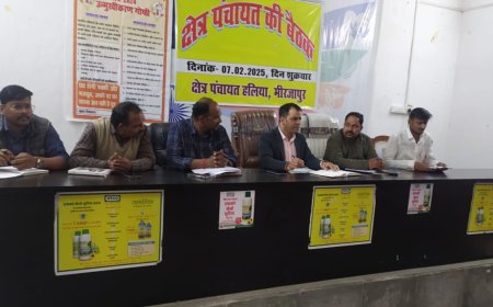 हलिया में खंड विकास अधिकारी ने पंचायत सचिवों के साथ की समीक्षा बैठक, दिए आवश्यक निर्देश