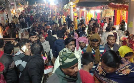 मिर्जापुर के मां विंध्यवासिनी धाम में भक्तों का तांता, अब तक 1 करोड़ 60 लाख श्रद्धालु कर चुके दर्शन