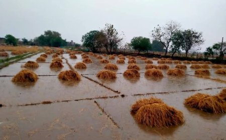 उत्तर प्रदेश में मौसम का कहर: वाराणसी, मिर्जापुर और भदोही में बारिश, आंधी और बिजली से भारी नुकसान