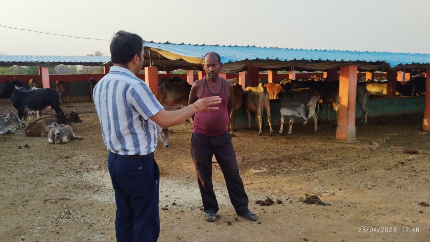 हलिया: महूगड़ी गौशाला का खंड विकास अधिकारी ने किया निरीक्षण, दिए आवश्यक निर्देश