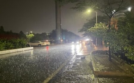 दिल्ली-NCR में भयंकर बारिश और तूफान, कई इलाकों में ओलावृष्टि से हाहाकार