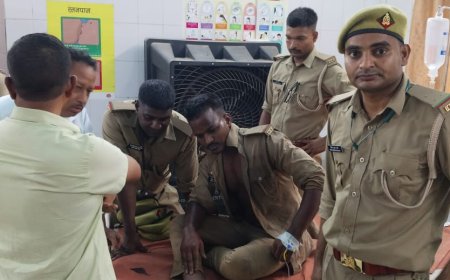 मिर्जापुर में मधुमक्खियों का कहर: 54 ट्रेनी वन दारोगाओं पर हमला, 4 की हालत गंभीर