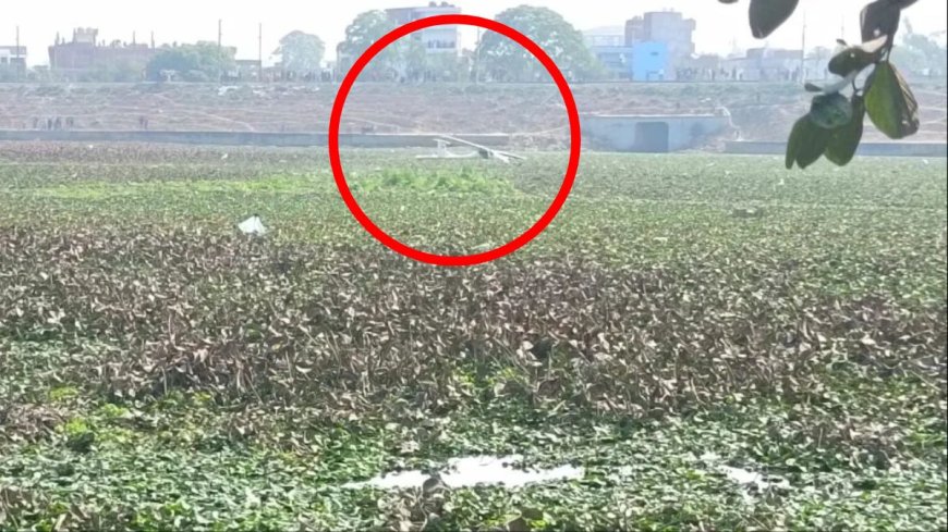 प्रयागराज में वायुसेना का विमान जलकुंभी वाले तालाब में गिरा, बाल-बाल बचे पायलट
